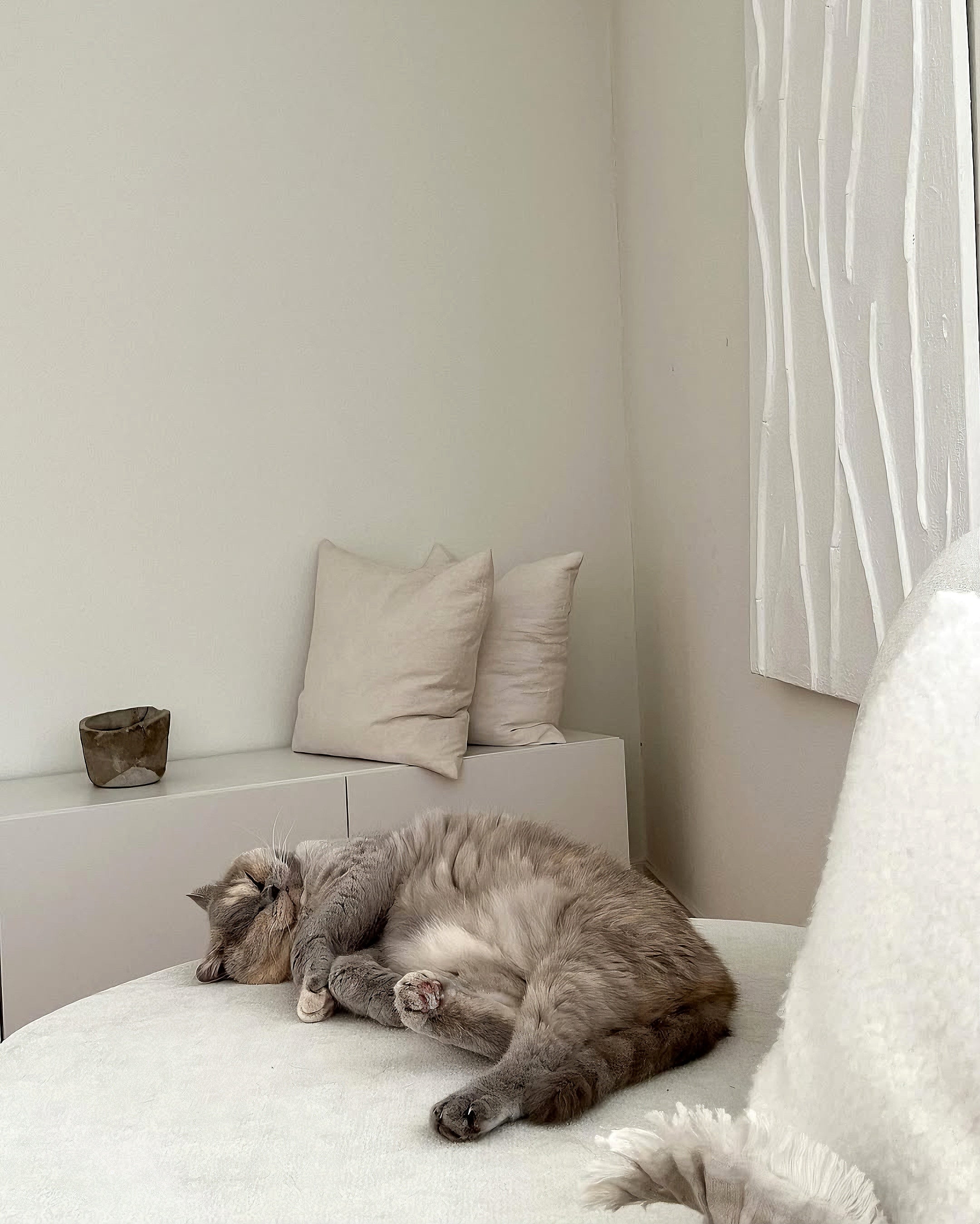 OBJECTS OF STILLNESS.