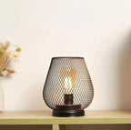 Zenora Metal Cage LED Lantern