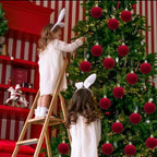 Zenora Velvet Christmas Ball Ornament