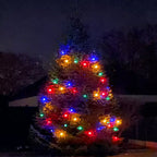 Zenora Multicolor Festoon Globe Hanging String Lights