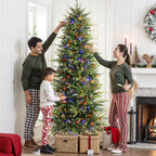 Zenora 6.5FT Pre-Lit Aspen Noble Fir Artificial Christmas Tree