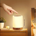 Zenora 2pcs Night LED Bedside Lamps