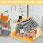 Zenora Broom & Dustpan Set with Long Handle