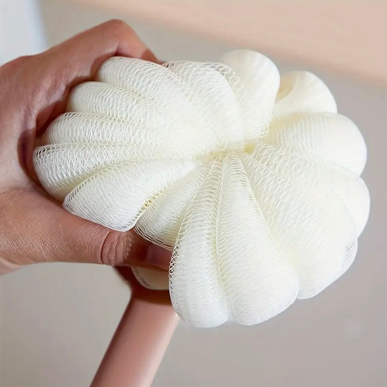 Zenora 2-in-1 Long-Handled Body Brush & Loofah