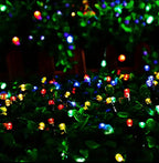 Zenora Multicolor LED Fairy String Lights