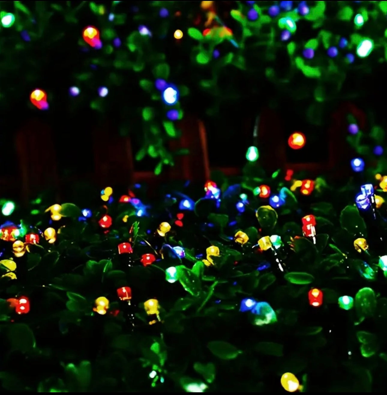 Zenora Multicolor LED Fairy String Lights