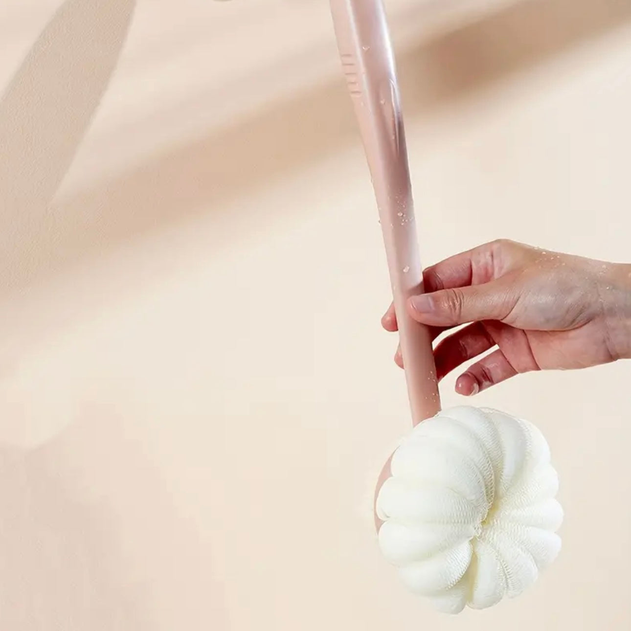 Zenora 2-in-1 Long-Handled Body Brush & Loofah