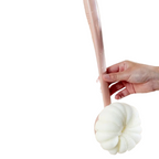Zenora 2-in-1 Long-Handled Body Brush & Loofah