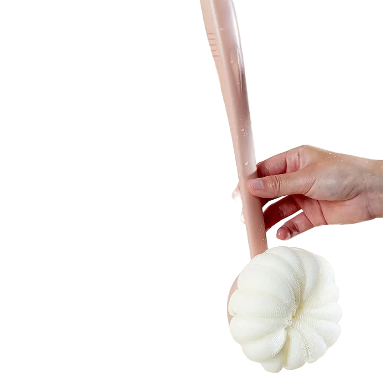 Zenora 2-in-1 Long-Handled Body Brush & Loofah