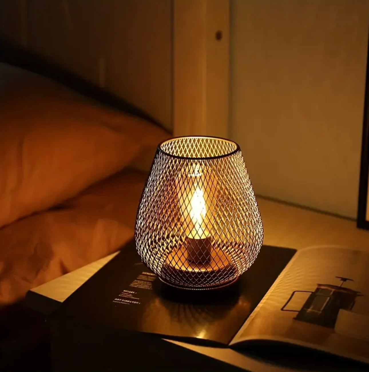 Zenora Metal Cage LED Lantern