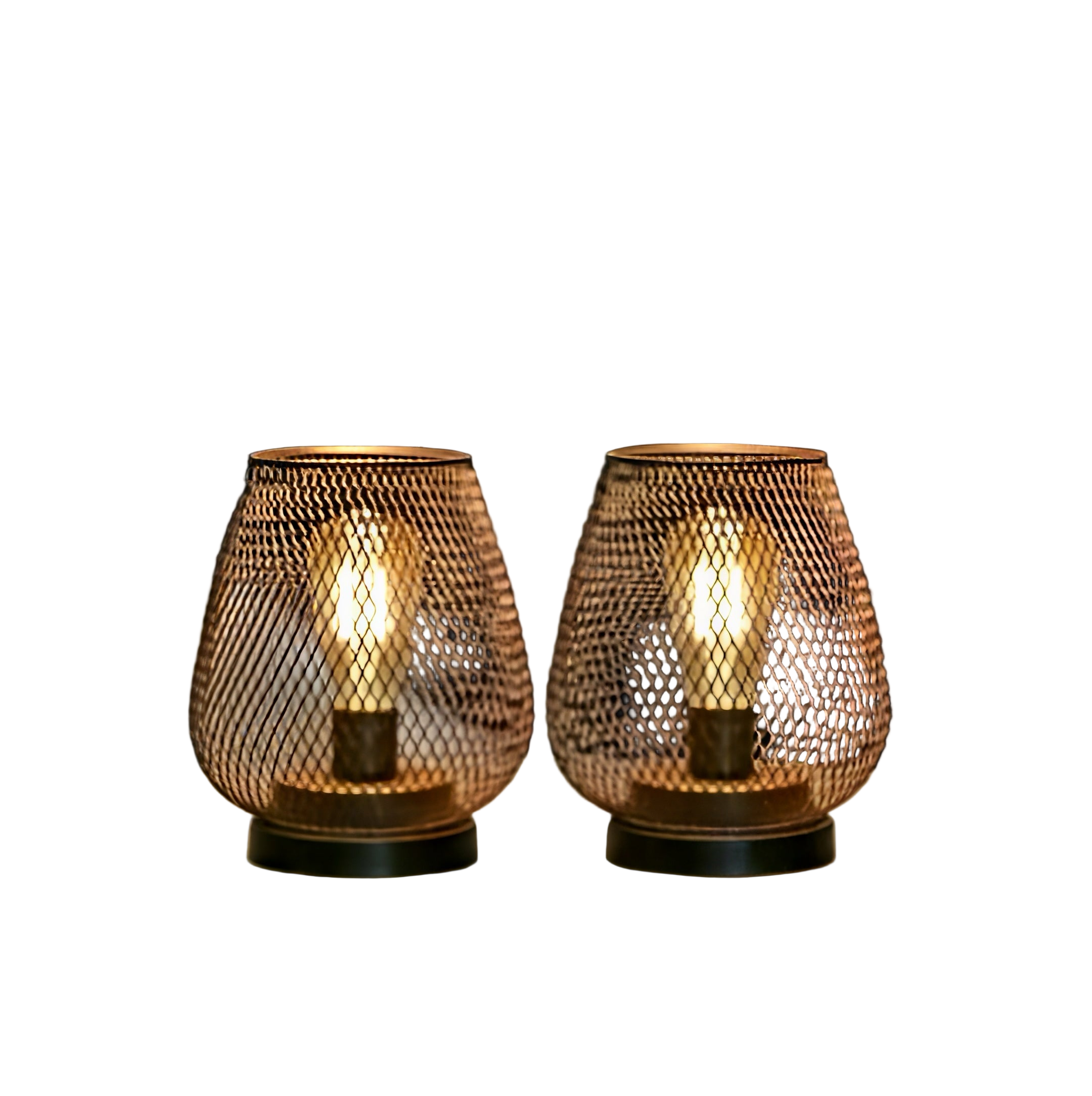 Zenora Metal Cage LED Lantern