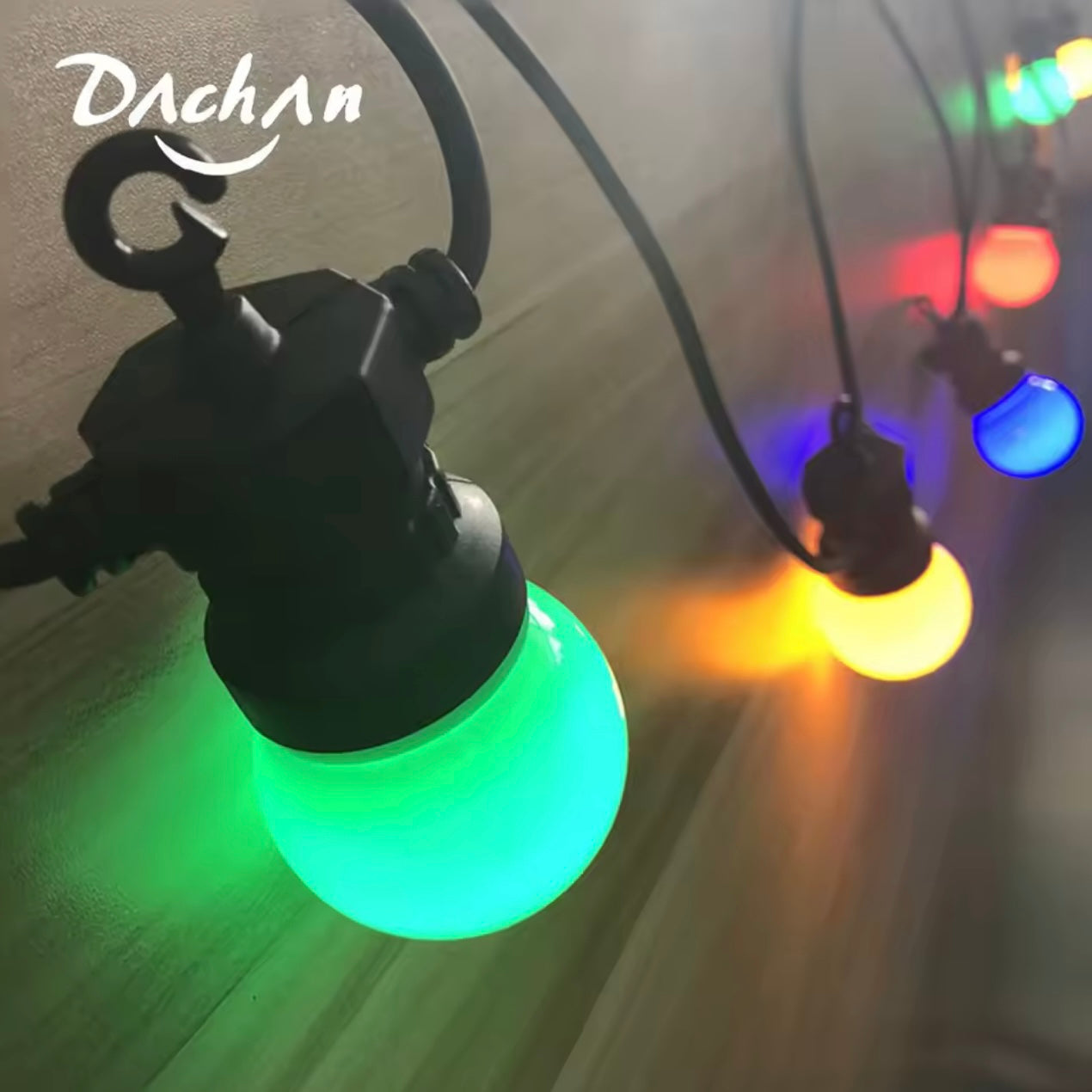 Zenora Multicolor Festoon Globe Hanging String Lights