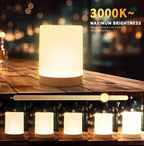 Zenora 2pcs Night LED Bedside Lamps