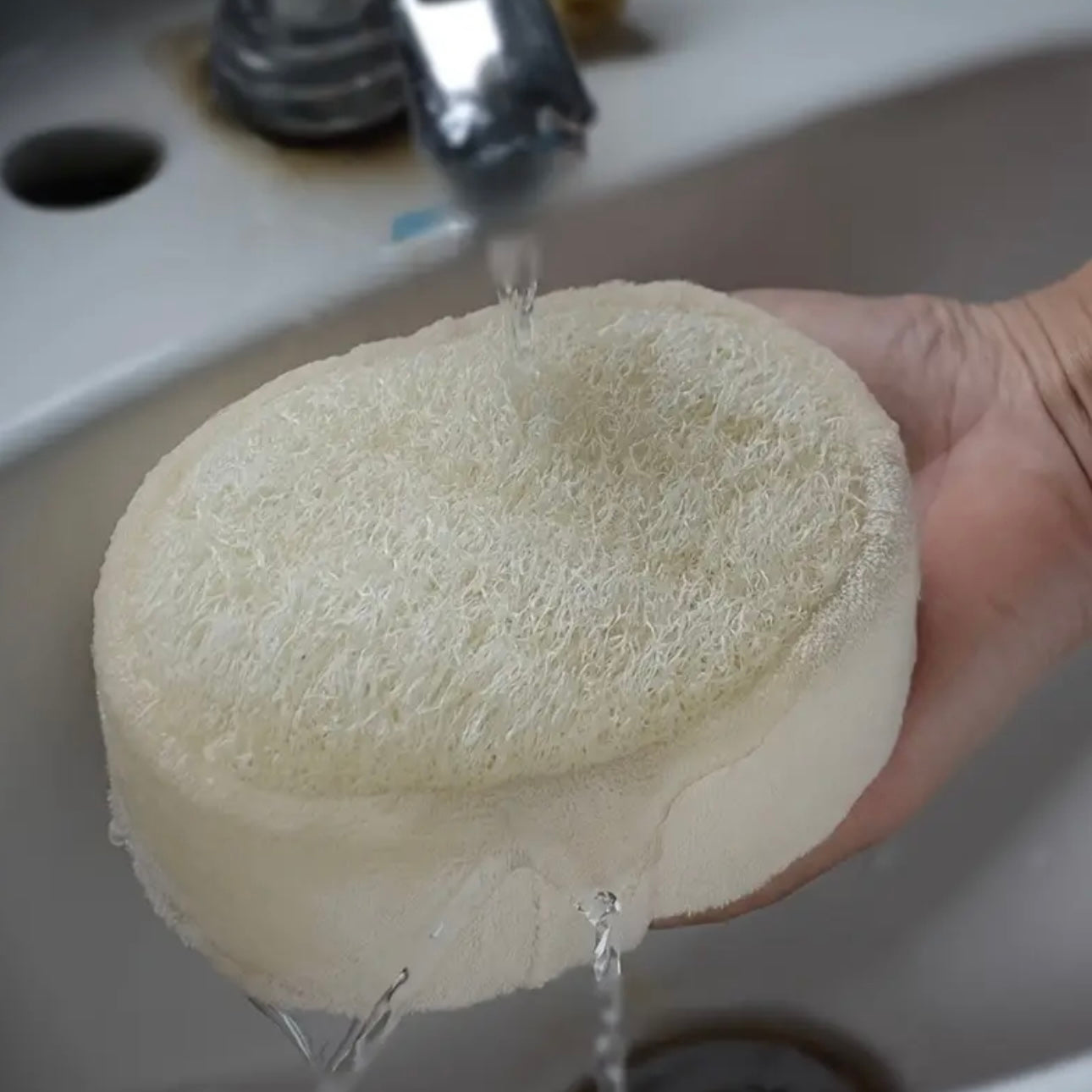 Zenora Natural Gourd Bath Sponge