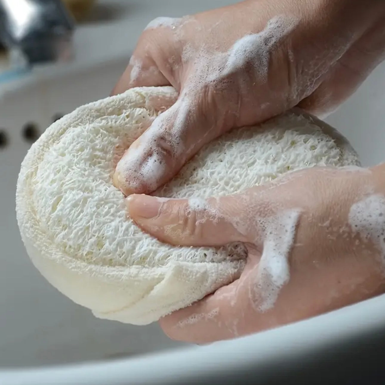 Zenora Natural Gourd Bath Sponge