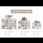 Zenora Christmas Glow Gift Box Set – 3 Piece Metal Light