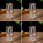 Zenora 6pcs Double-Wall Borosilicate Glass Cups