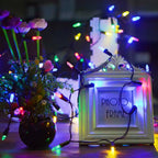 Zenora 5M/10M LED Waterproof Outdoor Christmas Mini Light String