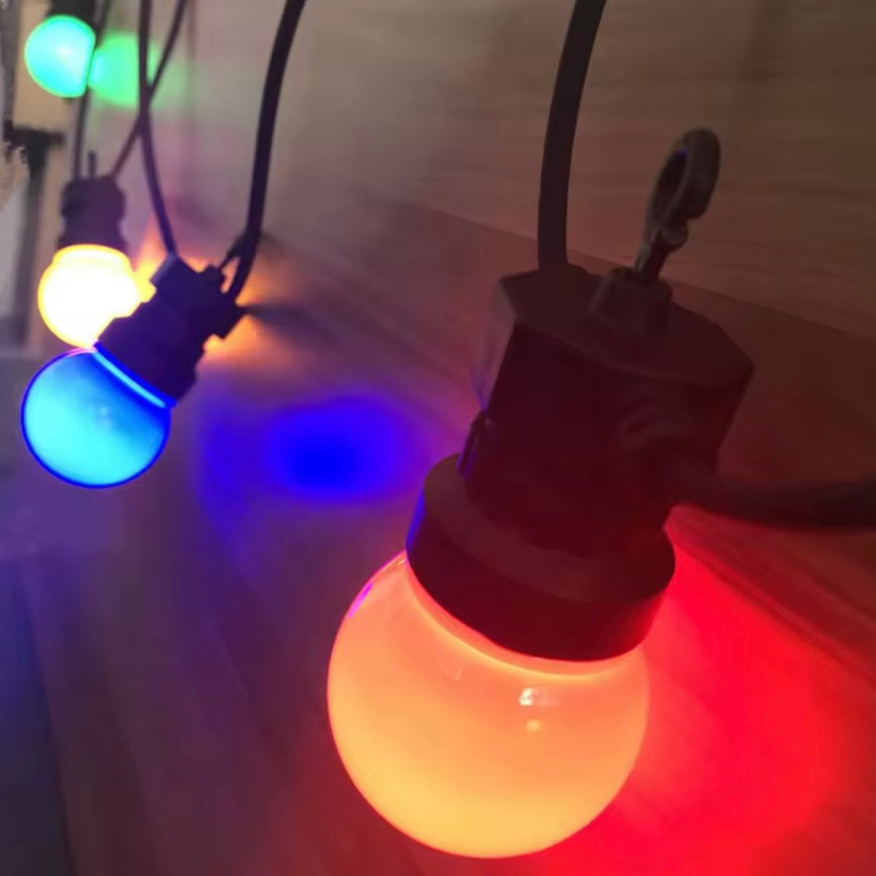 Zenora Multicolor Festoon Globe Hanging String Lights
