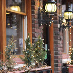 Zenora 5M/10M LED Waterproof Outdoor Christmas Mini Light String