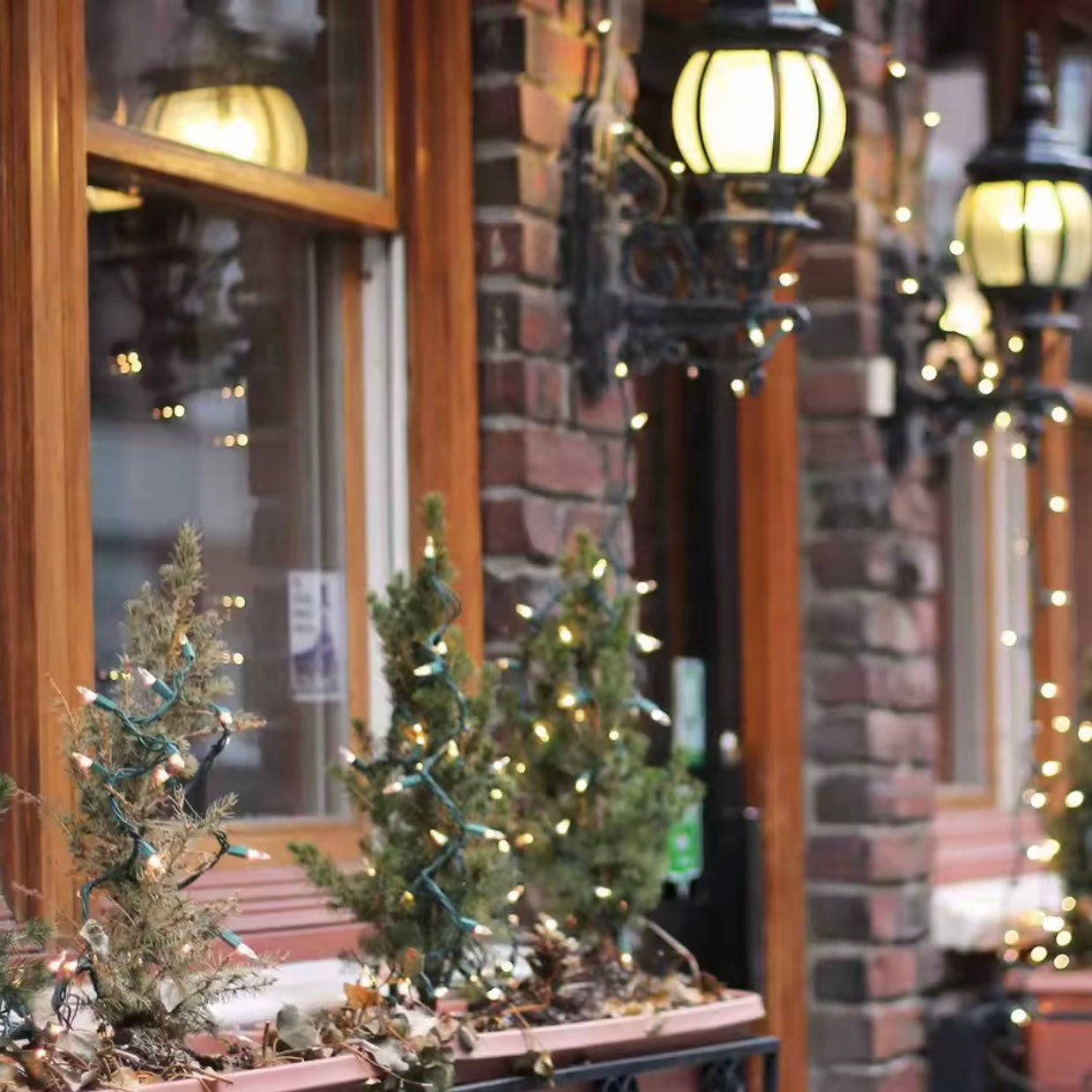 Zenora 5M/10M LED Waterproof Outdoor Christmas Mini Light String