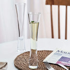 Zenora Ereganto 6pcs Champagne Flutes