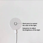 Zenora Adjustable LED Reading Light [White]