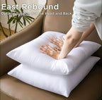 Zenora 4pcs White Square Pillow Core for Sofa or Bed