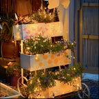 Zenora LumiString™ – 50/100/200 LED Waterproof Battery Fairy Lights