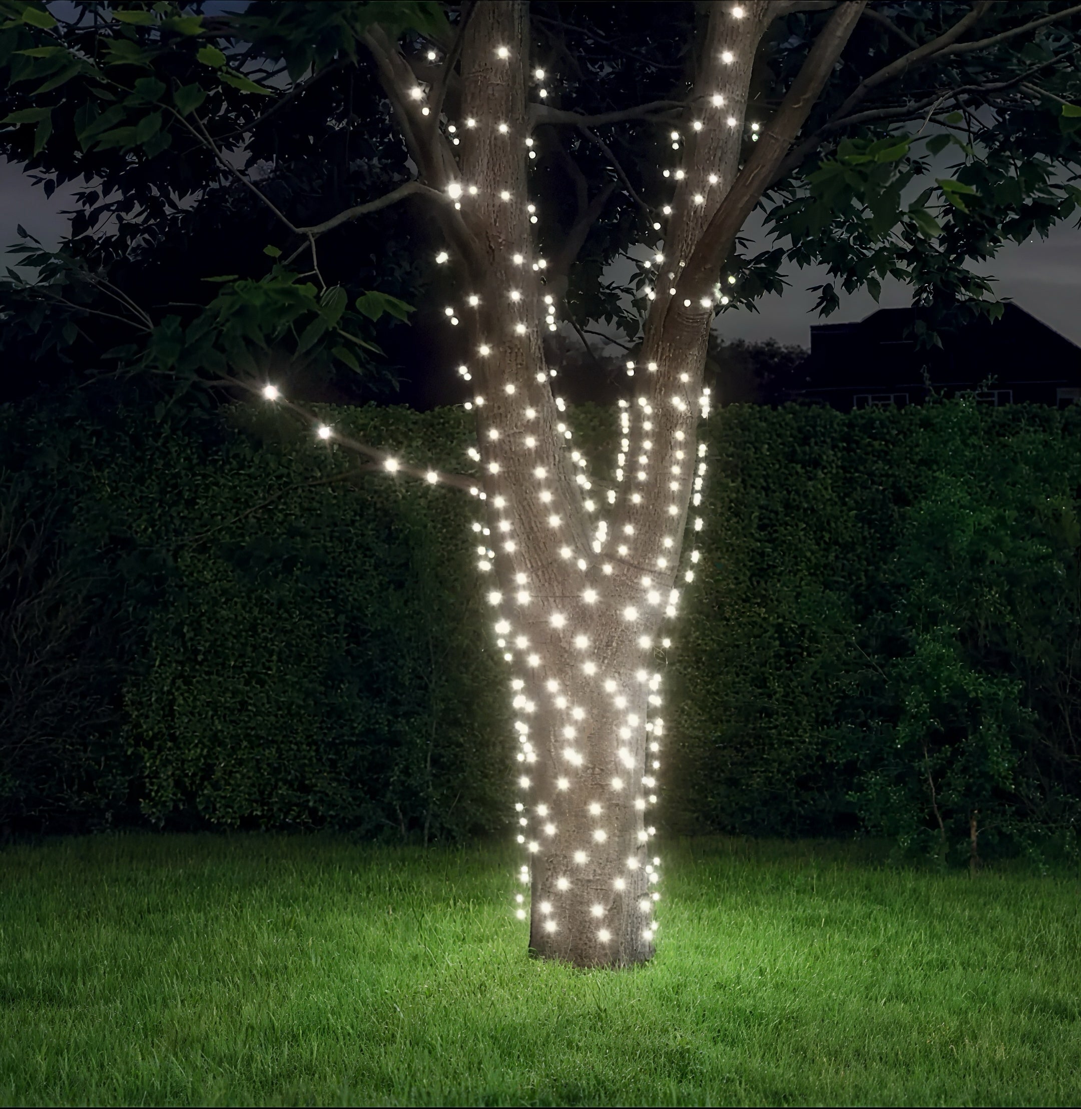 Zenora LumiString™ – 50/100/200 LED Waterproof Battery Fairy Lights