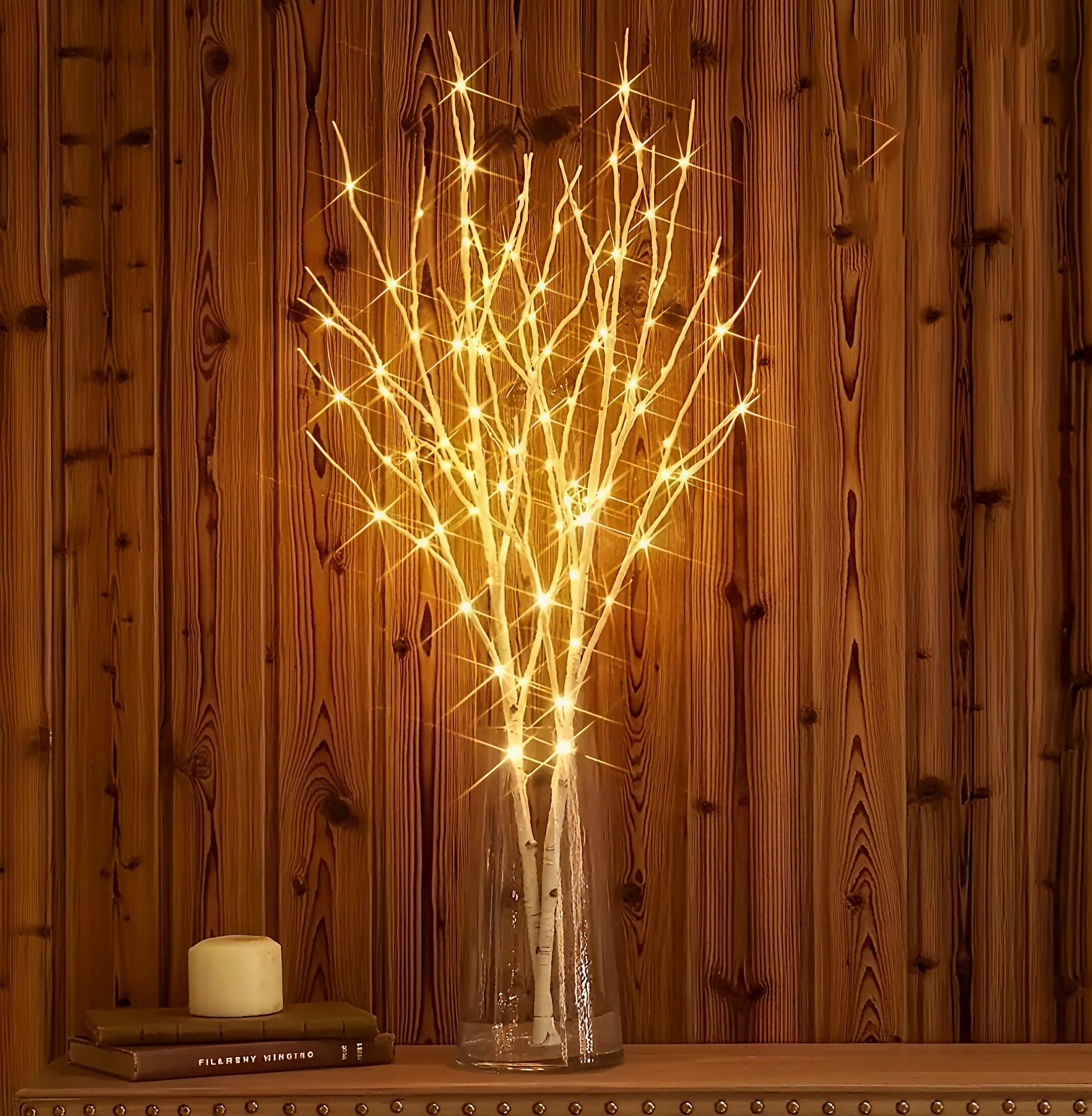 Zenora 2/4pcs 20-LED Warm Glowing Birch Tree Branch Lights