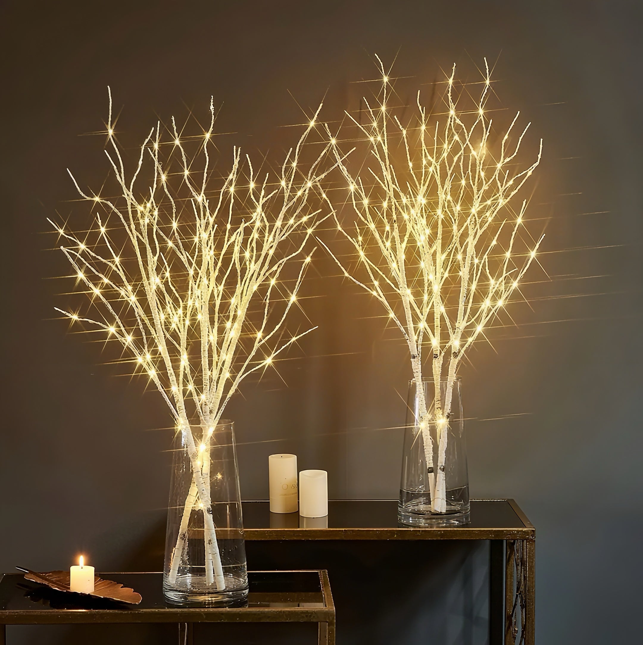 Zenora 2/4pcs 20-LED Warm Glowing Birch Tree Branch Lights